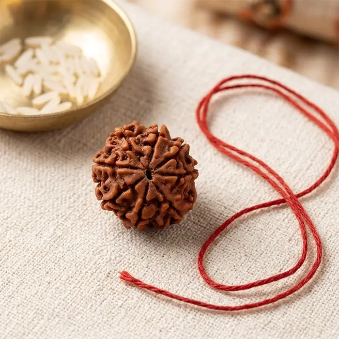 Nepal Origin 8 Mukhi Rudraksha - 17mm to 22mm